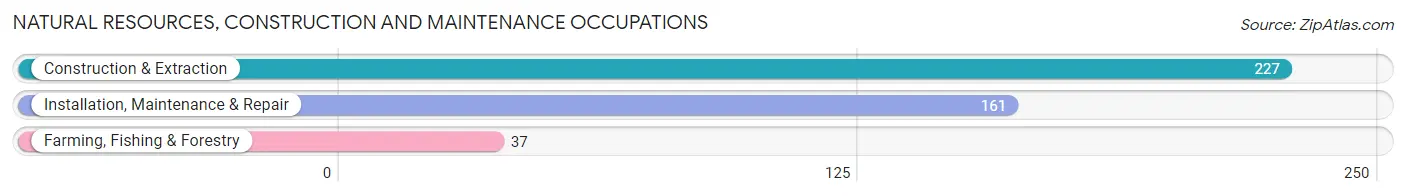 Natural Resources, Construction and Maintenance Occupations in Athol