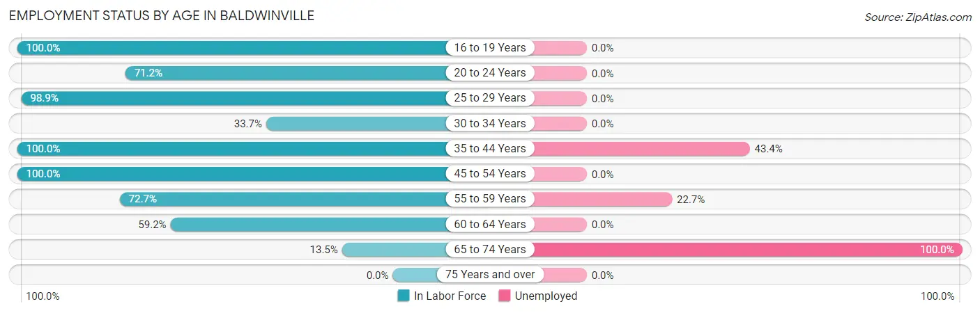 Employment Status by Age in Baldwinville