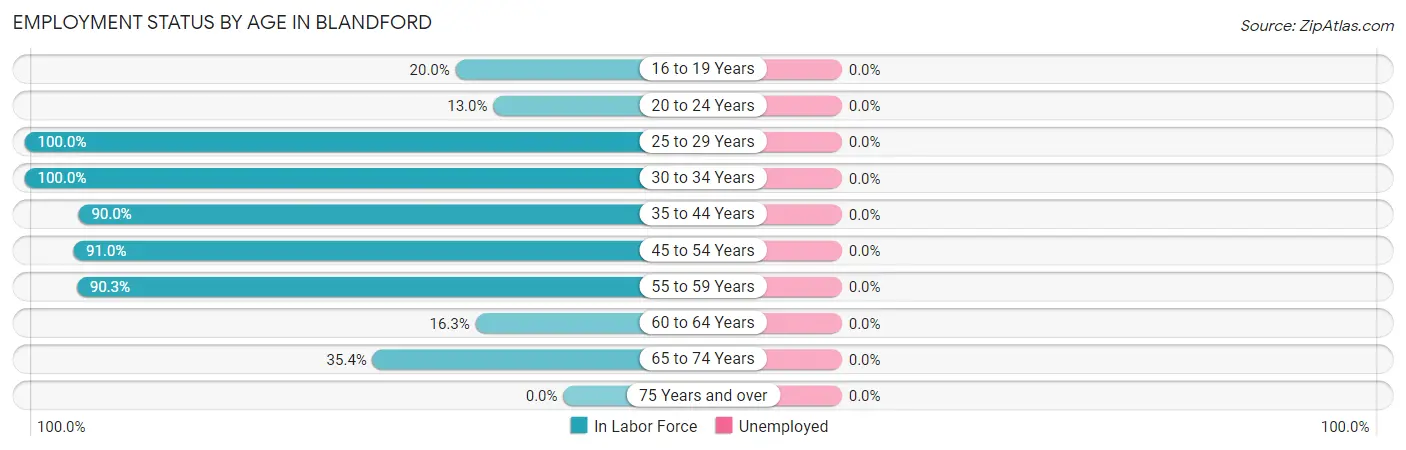 Employment Status by Age in Blandford