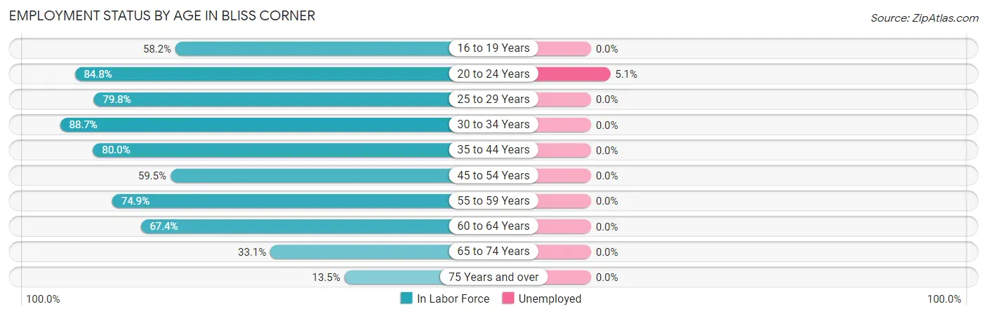Employment Status by Age in Bliss Corner