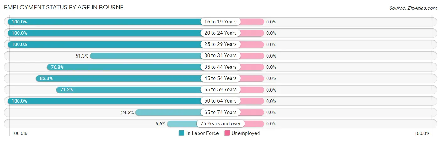 Employment Status by Age in Bourne