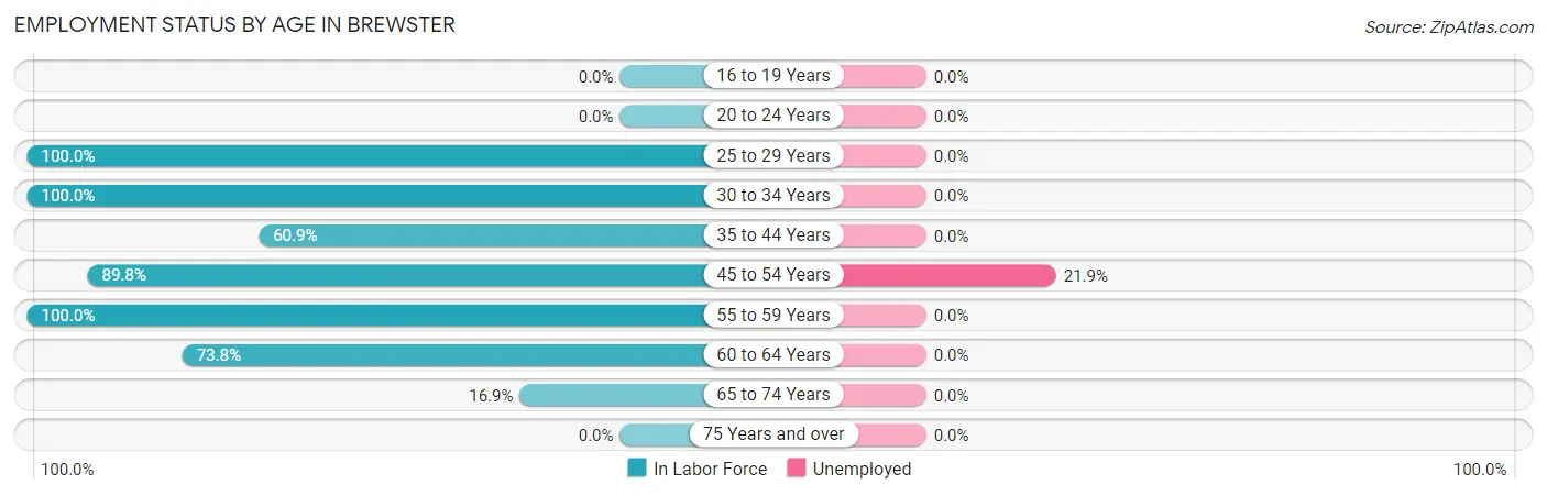 Employment Status by Age in Brewster