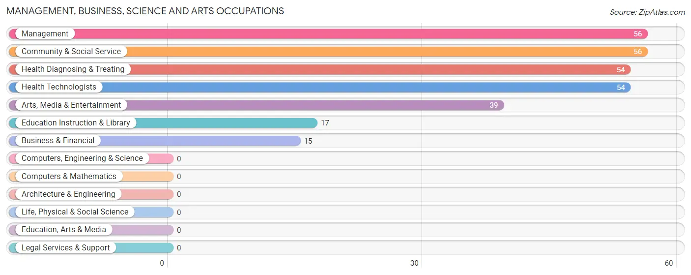 Management, Business, Science and Arts Occupations in Brewster