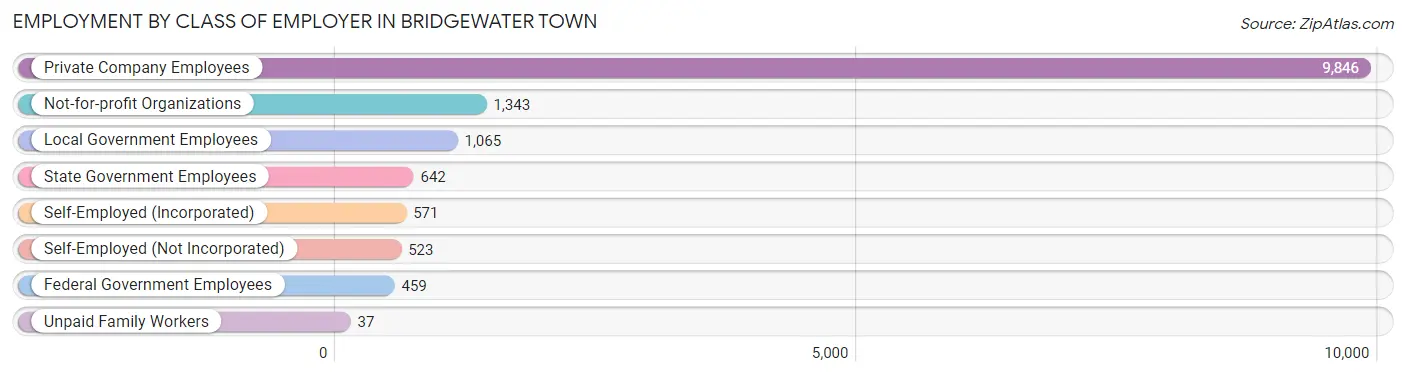 Employment by Class of Employer in Bridgewater Town