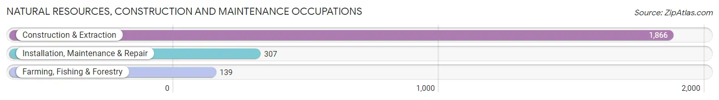 Natural Resources, Construction and Maintenance Occupations in Chelsea