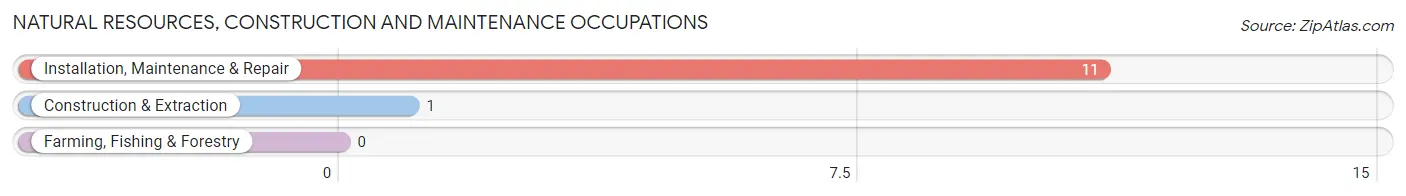 Natural Resources, Construction and Maintenance Occupations in Chester