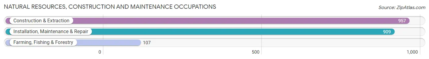 Natural Resources, Construction and Maintenance Occupations in Chicopee