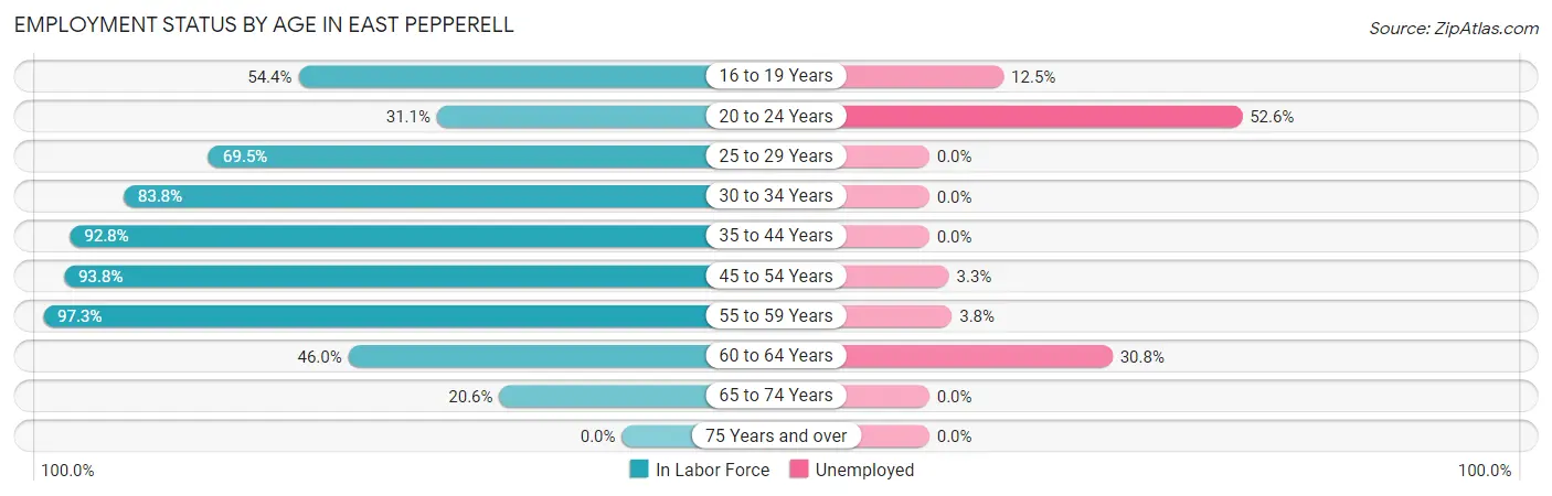 Employment Status by Age in East Pepperell