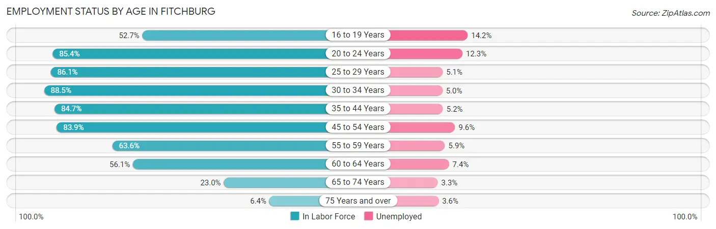 Employment Status by Age in Fitchburg