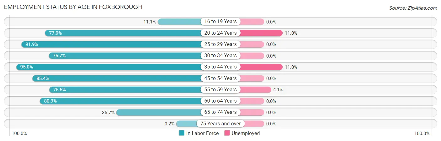 Employment Status by Age in Foxborough