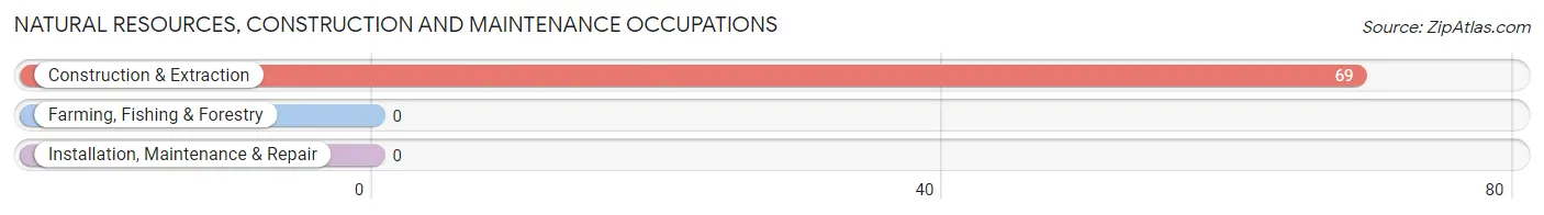 Natural Resources, Construction and Maintenance Occupations in Hanscom AFB