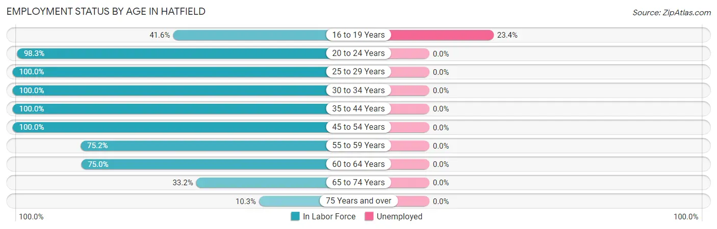 Employment Status by Age in Hatfield