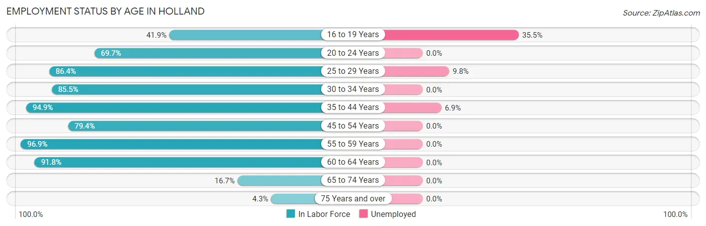 Employment Status by Age in Holland
