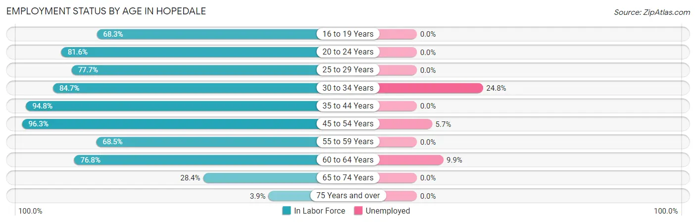 Employment Status by Age in Hopedale