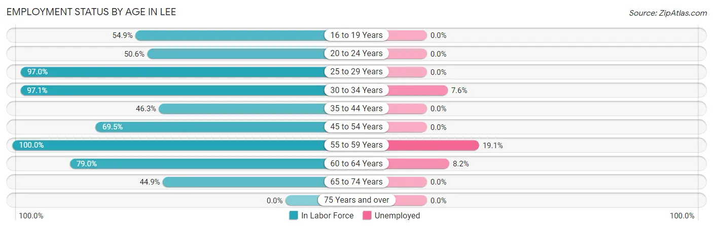 Employment Status by Age in Lee