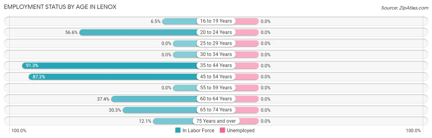Employment Status by Age in Lenox