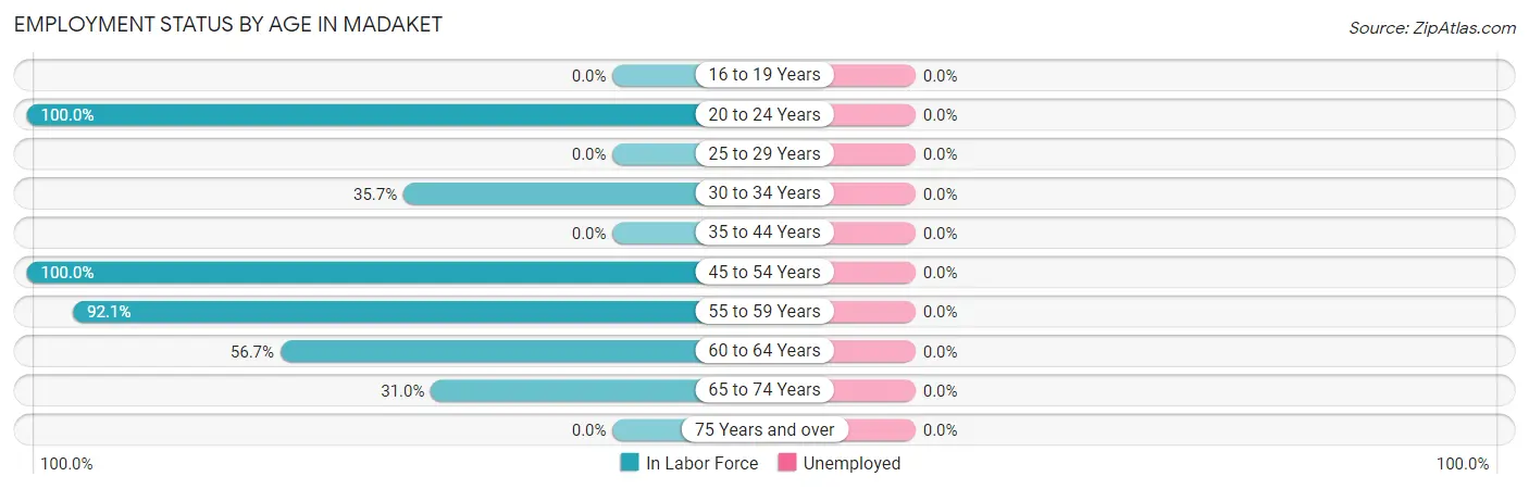 Employment Status by Age in Madaket