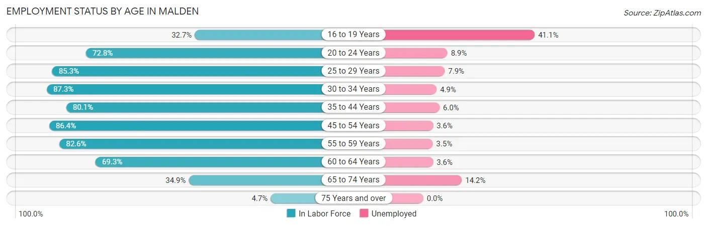 Employment Status by Age in Malden