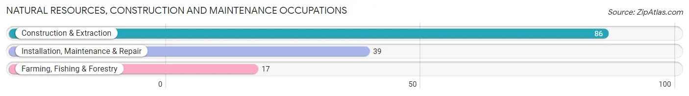 Natural Resources, Construction and Maintenance Occupations in Mattapoisett Center