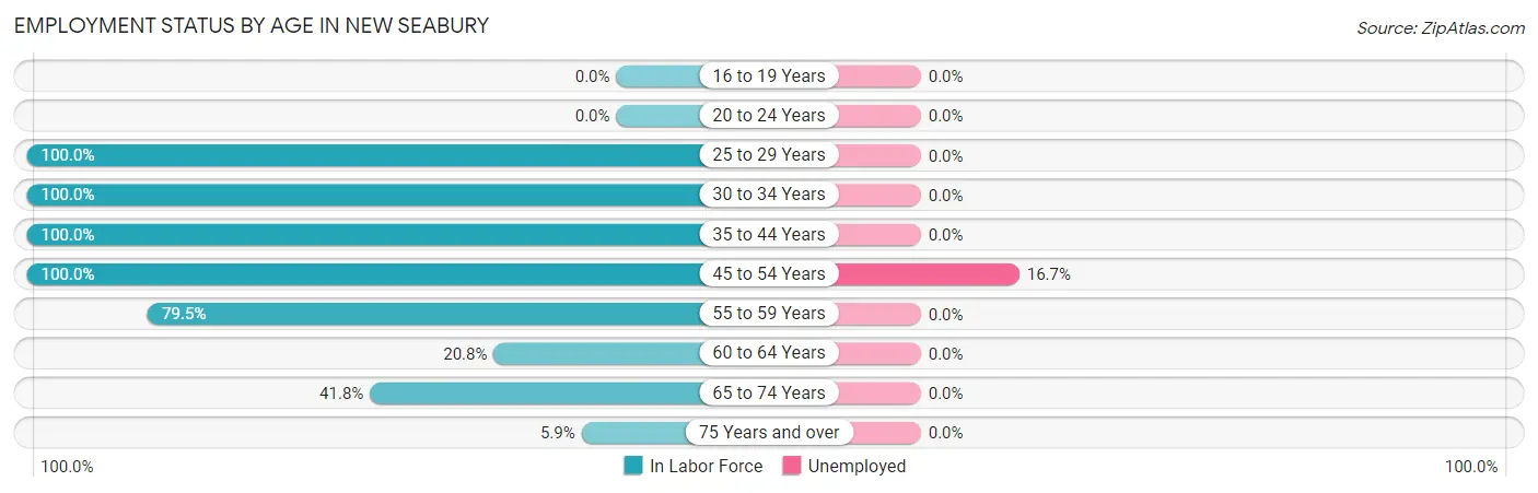 Employment Status by Age in New Seabury