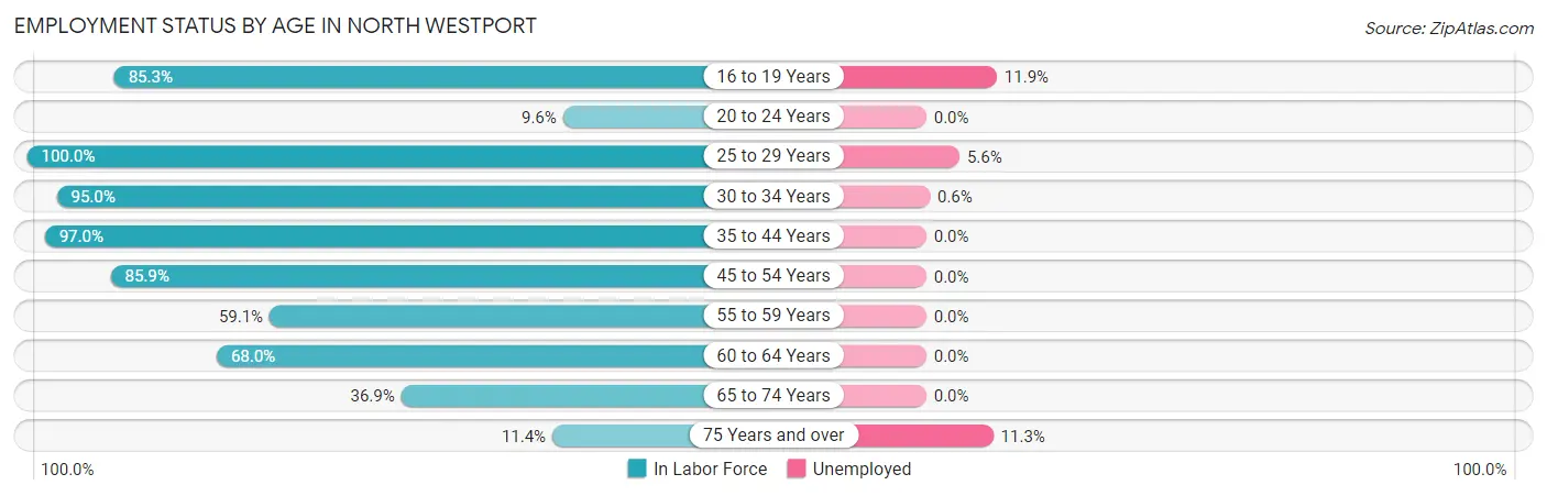 Employment Status by Age in North Westport