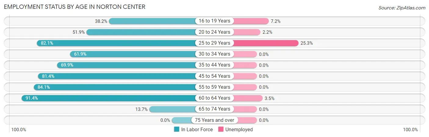 Employment Status by Age in Norton Center