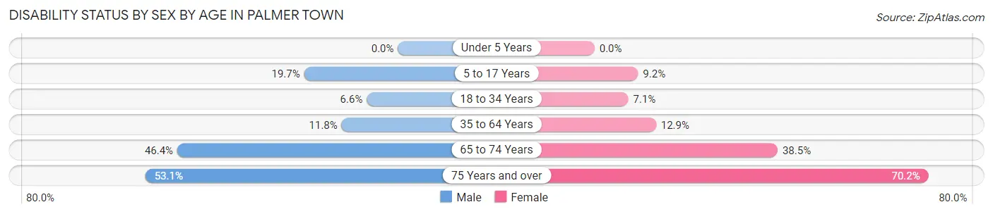 Disability Status by Sex by Age in Palmer Town