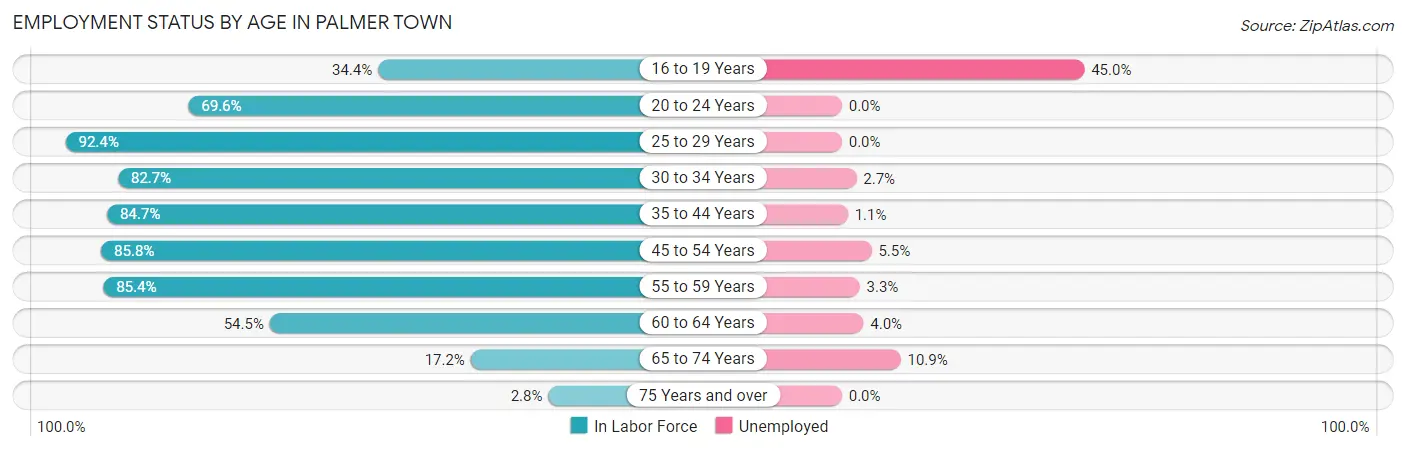 Employment Status by Age in Palmer Town