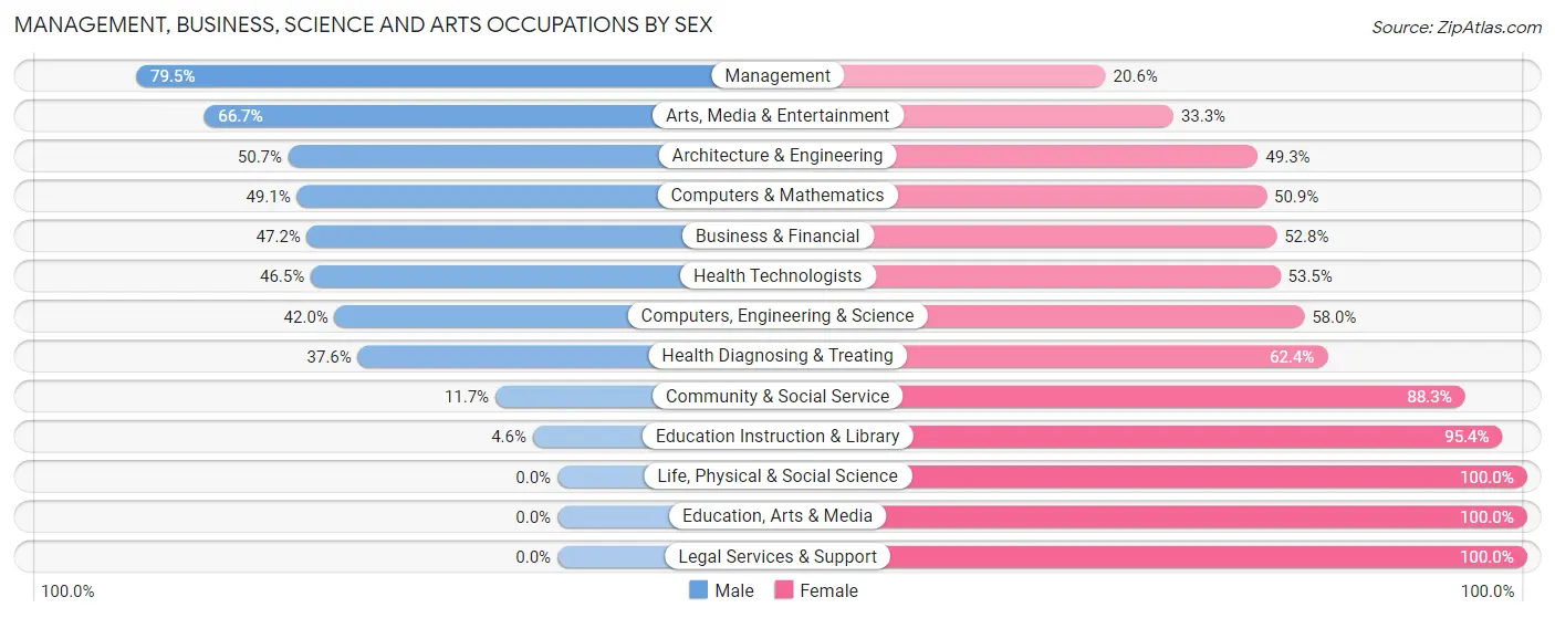 Management, Business, Science and Arts Occupations by Sex in Palmer Town