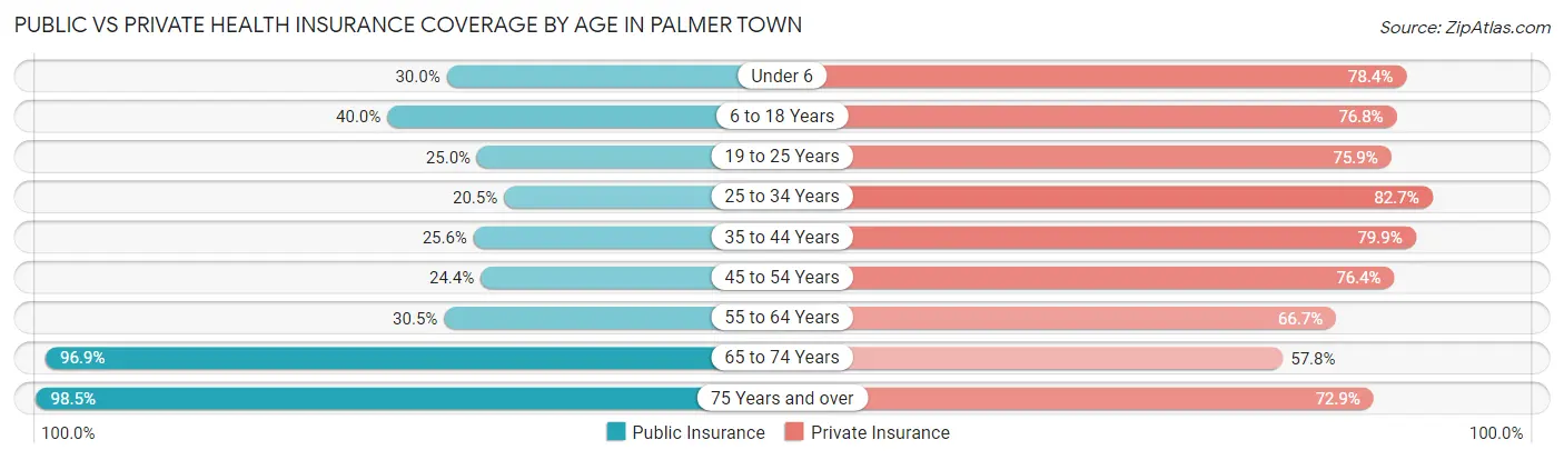 Public vs Private Health Insurance Coverage by Age in Palmer Town