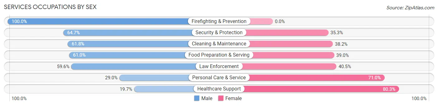 Services Occupations by Sex in Palmer Town