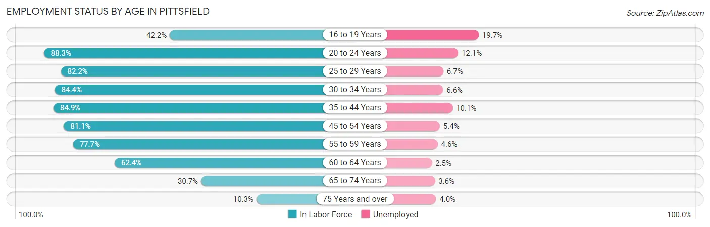 Employment Status by Age in Pittsfield