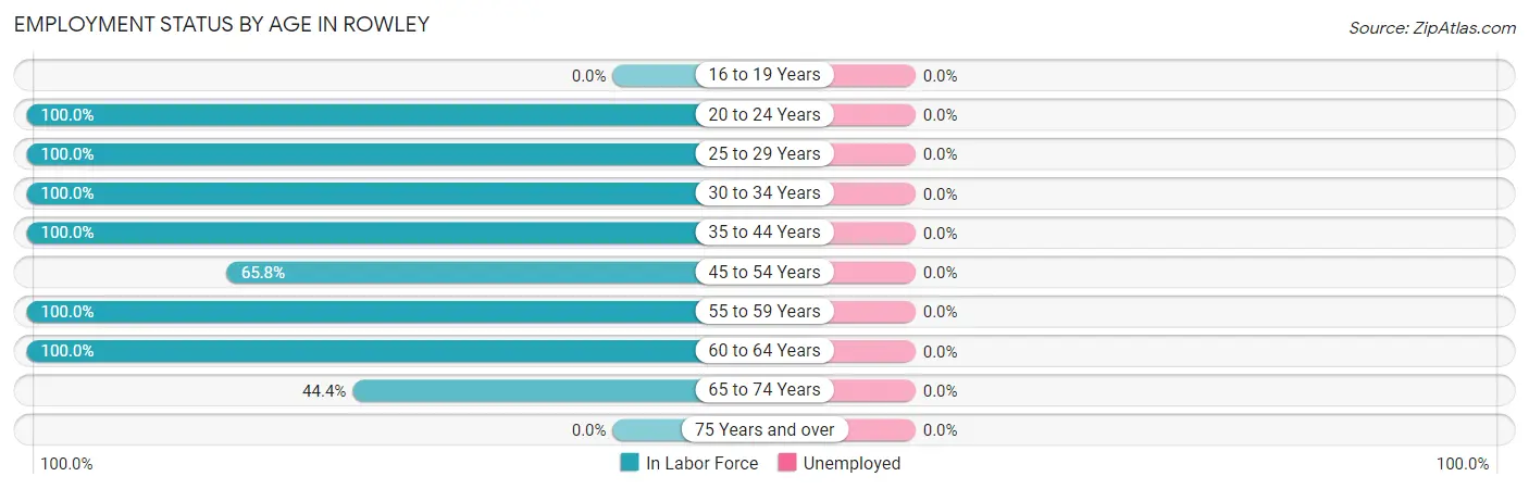 Employment Status by Age in Rowley