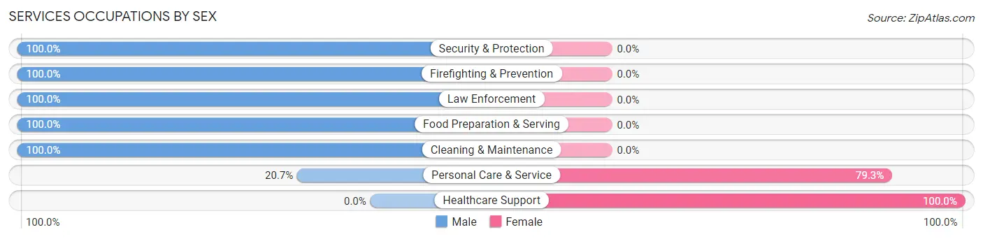 Services Occupations by Sex in Rutland