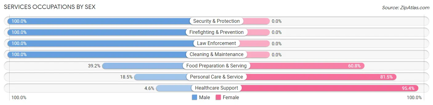 Services Occupations by Sex in Sagamore
