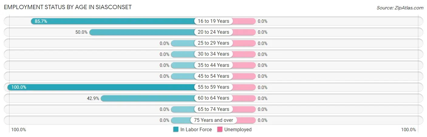 Employment Status by Age in Siasconset