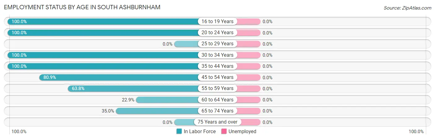 Employment Status by Age in South Ashburnham