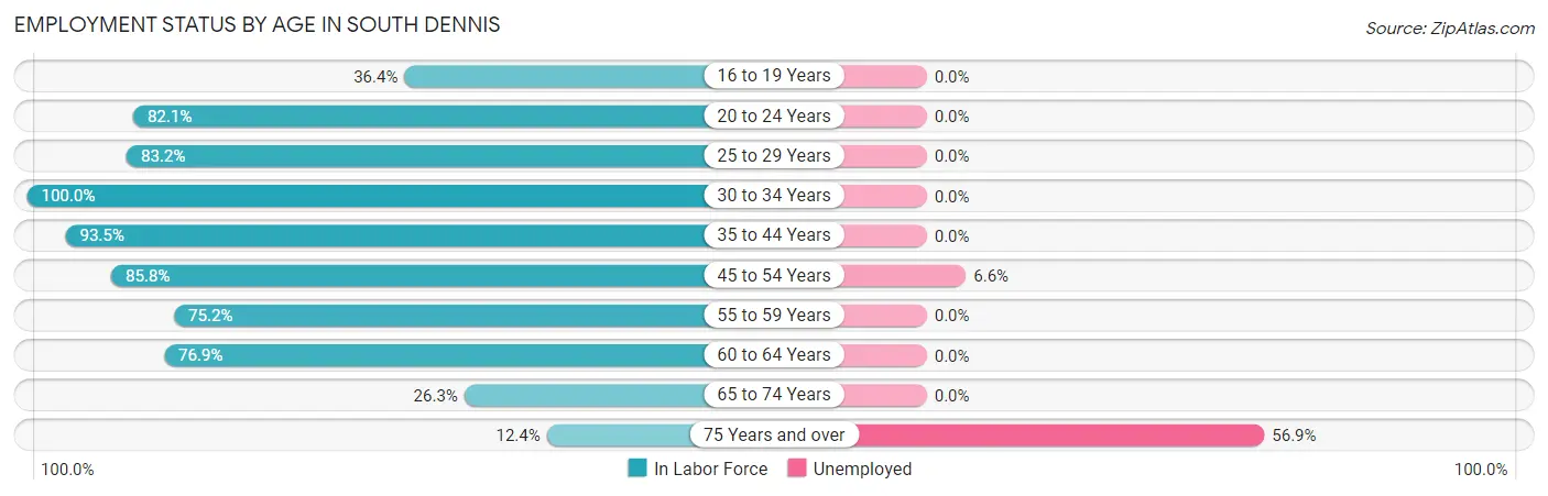 Employment Status by Age in South Dennis