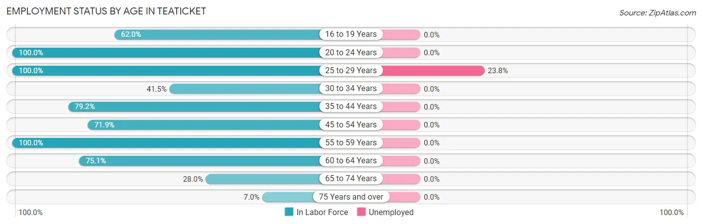 Employment Status by Age in Teaticket