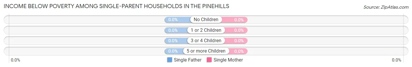Income Below Poverty Among Single-Parent Households in The Pinehills