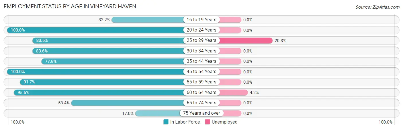 Employment Status by Age in Vineyard Haven
