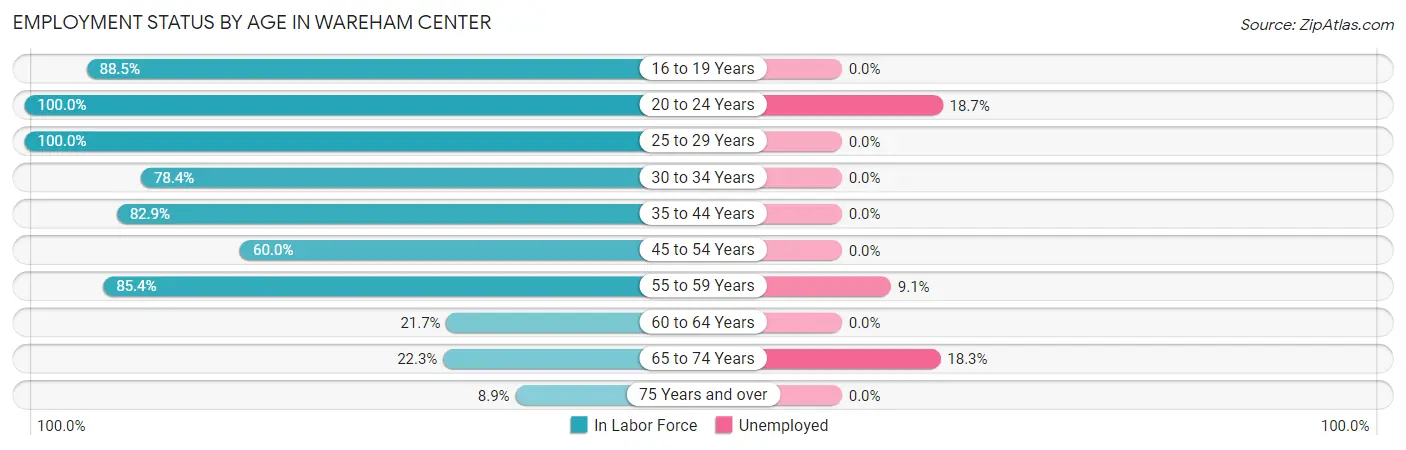 Employment Status by Age in Wareham Center