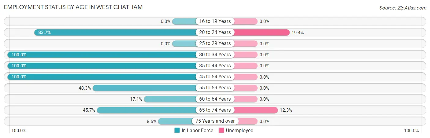 Employment Status by Age in West Chatham