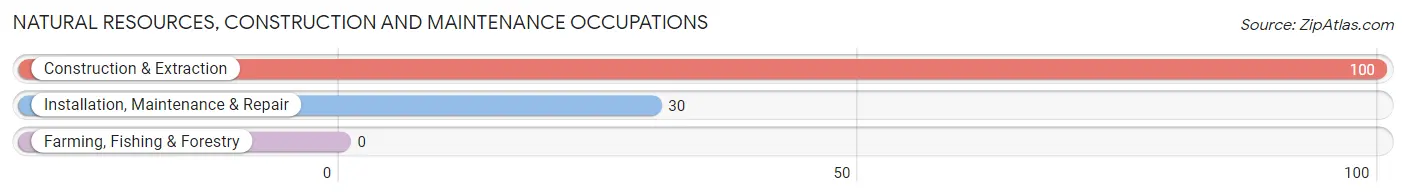 Natural Resources, Construction and Maintenance Occupations in West Wareham