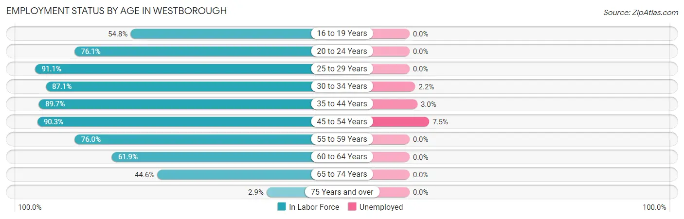Employment Status by Age in Westborough