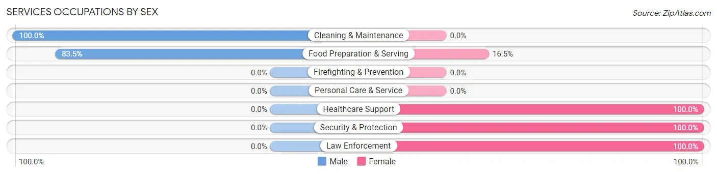 Services Occupations by Sex in White Island Shores