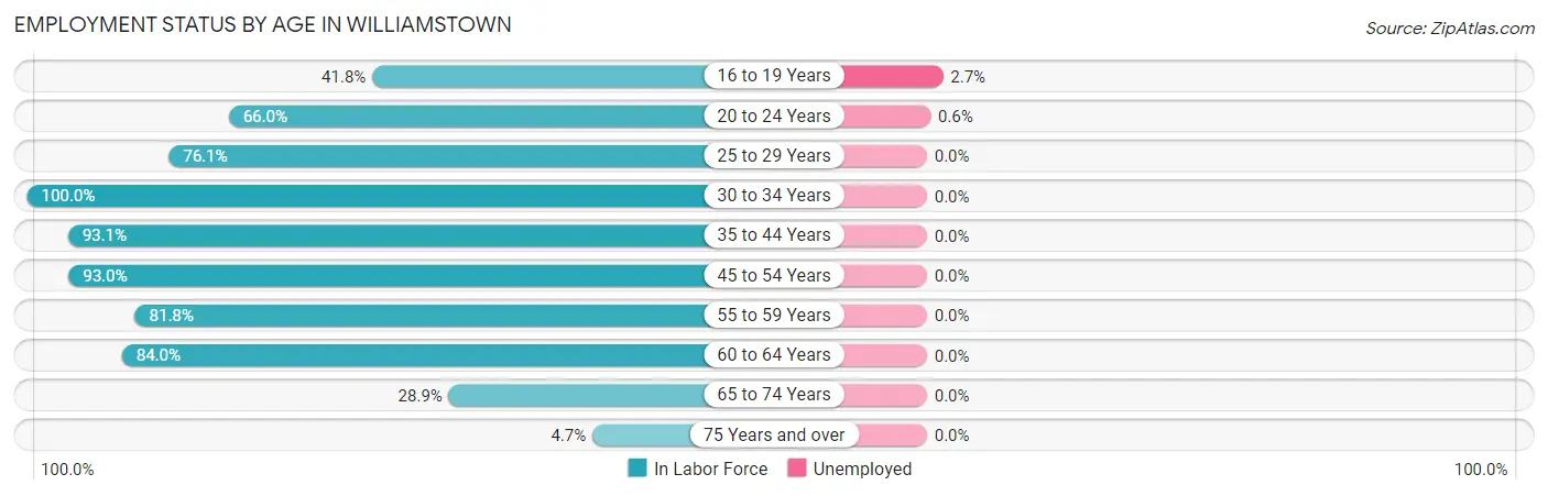 Employment Status by Age in Williamstown