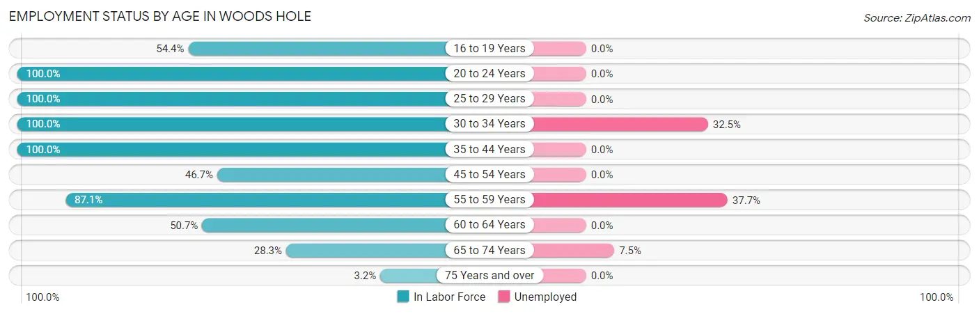 Employment Status by Age in Woods Hole