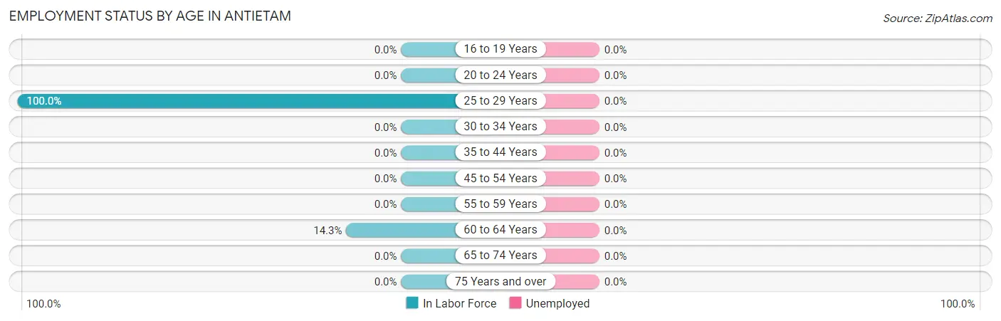 Employment Status by Age in Antietam