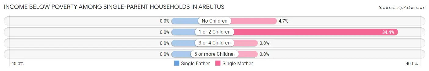 Income Below Poverty Among Single-Parent Households in Arbutus